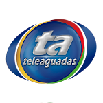 Cover Image of Unduh Tele Aguadas TV  APK