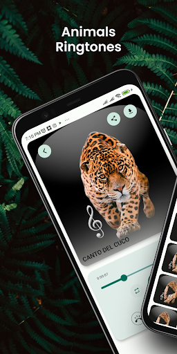 Animal sounds Ringtones Screenshot 1 - AppWisp.com