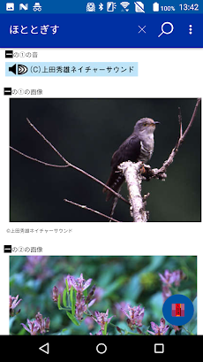 大辞林（三省堂）：『スーパー大辞林3.0』のおすすめ画像2