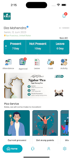 Pico Mobile Screen 2