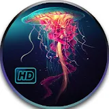 Jellyfish Hd Live Wallpaper icon