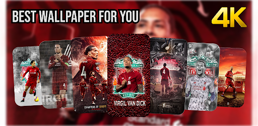 Virgil Van Dijk Wallpaper HD