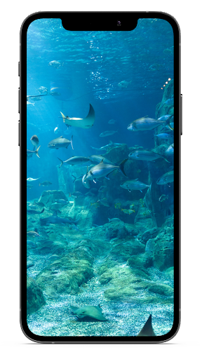 Aquarium Wallpaper HD