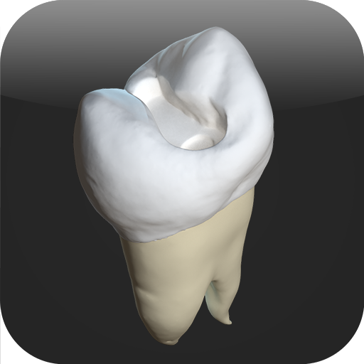 CavSim : Dental Cavity Trial  Icon