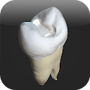 CavSim : Dental Cavity Trial