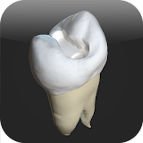 CavSim : Dental Cavity Trial icon