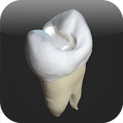 CavSim : Dental Cavity Trial