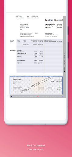 US Paycheck Paystub Maker Screen 2