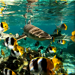 Cover Image of Télécharger Underwater Live Wallpaper  APK