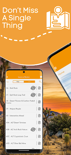 Screenshot of Joshua Tree National Park Tour