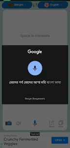 Bangla to English Translator