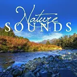 Nature Sounds Relax and Sleep Free with Hypnosis icon