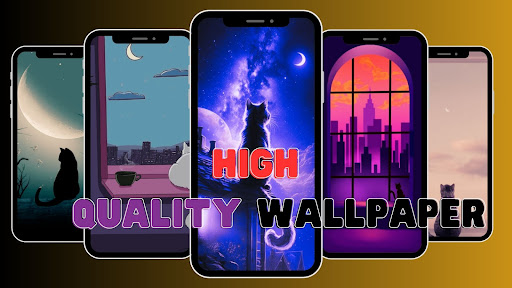 Aesthetic Cool Cat Wallpaper