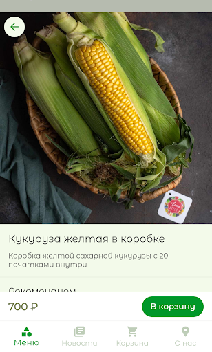 Бахча Screen 2