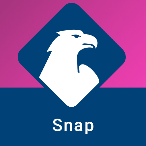 DFV Snap logo