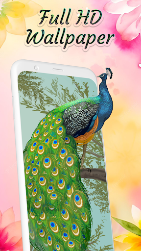 Peacock Wallpaper Screen 2