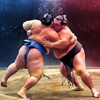 Real Wrestling Sumo Fight Wrestling Games
