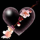 3D Flower Heart icon