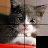 Animals Puzzles icon