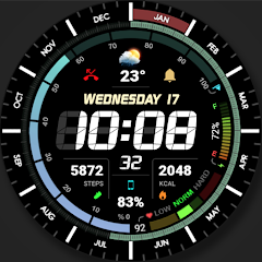 WFP 321 Digital Watch Face