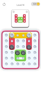 Screw Puzzle