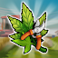Hempire: Plant Growing Game 2.33.2 (Unlimited Money)