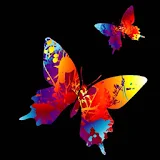 3D Butterfly 018 icon