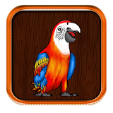 Talking Parrot Call icon
