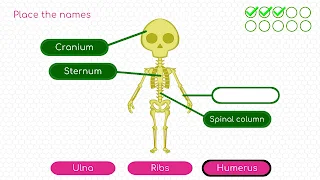BodyQuest: Anatomy for kids - Screenshot 2
