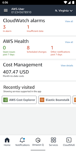 AWS Console Screenshot 1 - AppWisp.com