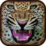 Jungle Cheetah: Real Hunter icon
