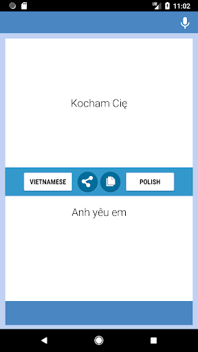 Vietnamese-Polish Translator Screen 2