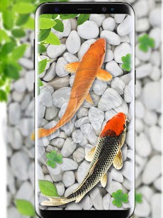 Fish Live Wallpaper : Koi PROのおすすめ画像3