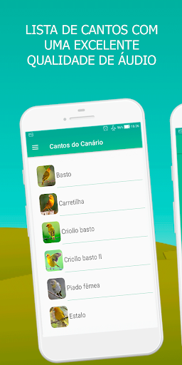 Android application Canary bird singing screenshort