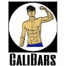 CaliBars app apk icon