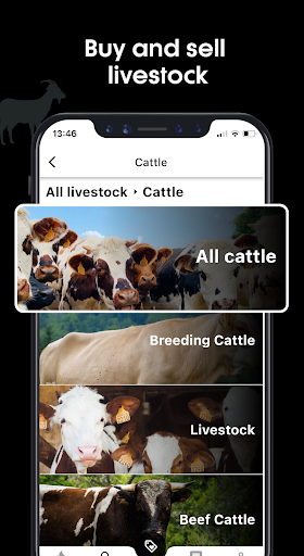 Android application viehworld: Cattle, Sheep & Co screenshort