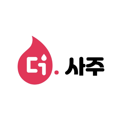 더사주 신년운세 사주 일일운세 궁합 타로 logo