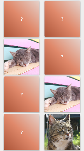 Android application MemoCats screenshort
