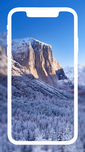 Winter Sports Wallpaper