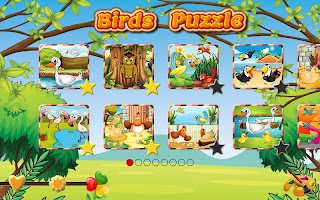 Pet Birds Puzzle Game for kids