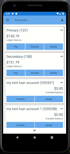 Android application IBTApps Demo screenshort