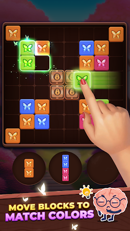 Game screenshot Match Block hack