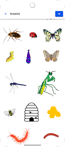 English Visual Vocabulary Screenshot 4 - AppWisp.com