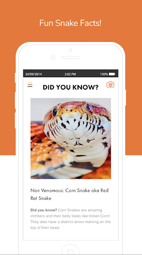 SnakeSnap! Screen 3