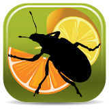 Citrus Pests Key icon