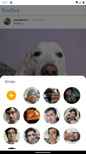BonaFeed Screen 3