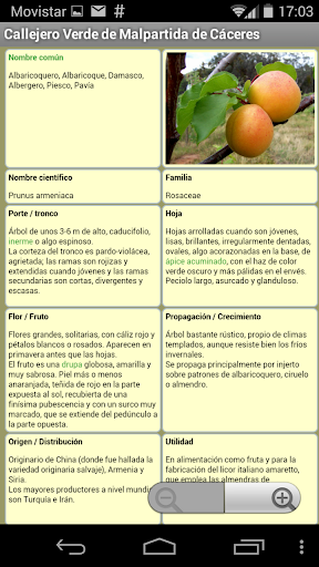 Callejero Verde Screen 3