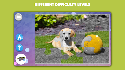 Dogs and Cats Puzzles for kids 2