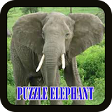 Game Puzzle Elephant icon