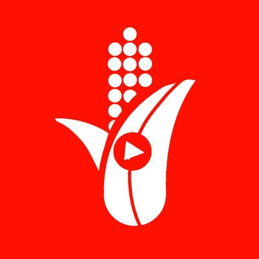 CornStatus - All Status Video logo